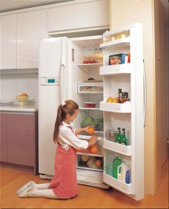 trung tâm Sửa chữa tủ lạnh Thanh Hóa đưa ra các lời khuyên về sử dụng tủ lạnh và tủ đông tiết kiệm điện năng cho gia đình bạn