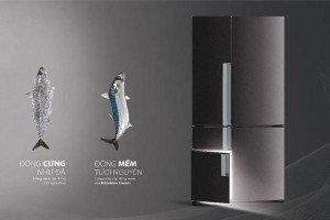 Trung tâm sửa tủ lạnh Thanh Hóa giới thiệu sản phẩm tủ lạnh đẳng cấp